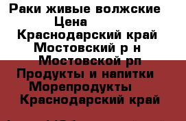 Раки живые волжские › Цена ­ 900 - Краснодарский край, Мостовский р-н, Мостовской рп Продукты и напитки » Морепродукты   . Краснодарский край